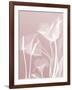 Pink Flora 5-Albert Koetsier-Framed Premium Giclee Print