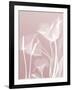 Pink Flora 5-Albert Koetsier-Framed Premium Giclee Print