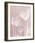 Pink Flora 5-Albert Koetsier-Framed Art Print