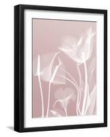 Pink Flora 5-Albert Koetsier-Framed Art Print