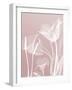 Pink Flora 5-Albert Koetsier-Framed Art Print