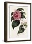 Pink Floral Mix III-Ridgeway-Framed Art Print