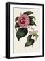 Pink Floral Mix III-Ridgeway-Framed Art Print