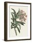 Pink Floral Mix VI-Ridgeway-Framed Art Print