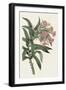 Pink Floral Mix VI-Ridgeway-Framed Art Print