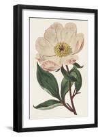Pink Floral Mix VII-Ridgeway-Framed Art Print