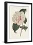 Pink Floral Mix VIII-Ridgeway-Framed Art Print