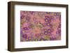 Pink floral pattern-Claire Westwood-Framed Premium Giclee Print