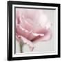 Pink Flower 01-Tom Quartermaine-Framed Giclee Print