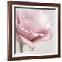 Pink Flower 01-Tom Quartermaine-Framed Giclee Print