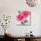 Pink Flower II-Lilian Scott-Mounted Art Print displayed on a wall