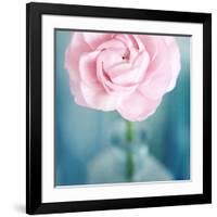 Pink Flower in Blue Bottle-Tom Quartermaine-Framed Giclee Print