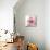 Pink Flower in the Snow-Dawn Derman-Mounted Art Print displayed on a wall