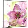 Pink Flower in the Snow-Dawn Derman-Mounted Art Print