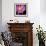Pink Flower on Black 01-Tom Quartermaine-Framed Giclee Print displayed on a wall