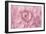 Pink Flower Petals-Cora Niele-Framed Giclee Print