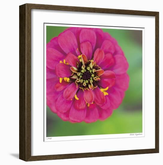 Pink Flower Surprise-Stacy Bass-Framed Giclee Print