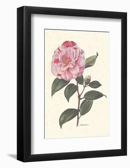 Pink Flower-null-Framed Art Print