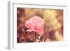 Pink Flower-Carolina Hernandez-Framed Photographic Print