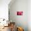 Pink Flower-PhotoINC-Photographic Print displayed on a wall