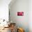 Pink Flower-PhotoINC-Mounted Photographic Print displayed on a wall