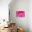 Pink Flower-Martina Bleichner-Art Print displayed on a wall