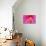 Pink Flower-Martina Bleichner-Mounted Art Print displayed on a wall