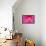 Pink Flower-Martina Bleichner-Framed Stretched Canvas displayed on a wall