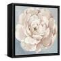 Pink Flower-Asia Jensen-Framed Stretched Canvas