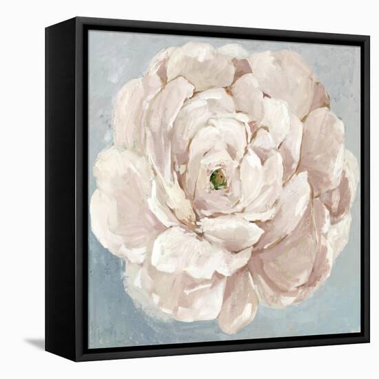 Pink Flower-Asia Jensen-Framed Stretched Canvas