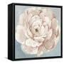 Pink Flower-Asia Jensen-Framed Stretched Canvas