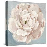 Pink Flower-Asia Jensen-Stretched Canvas