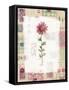 Pink Flower-Hope Street Designs-Framed Stretched Canvas