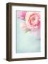 Pink Flowers in a Vase-egal-Framed Photographic Print