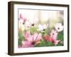 Pink Flowers in Meadow-null-Framed Photographic Print