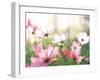 Pink Flowers in Meadow-null-Framed Photographic Print