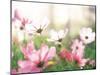 Pink Flowers in Meadow-null-Mounted Photographic Print