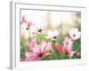 Pink Flowers in Meadow-null-Framed Photographic Print