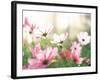 Pink Flowers in Meadow-null-Framed Photographic Print