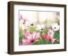 Pink Flowers in Meadow-null-Framed Photographic Print