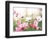 Pink Flowers in Meadow-null-Framed Photographic Print