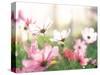 Pink Flowers in Meadow-null-Stretched Canvas