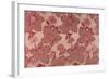 Pink Flowers on a Baise Background-null-Framed Giclee Print