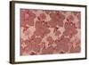 Pink Flowers on a Baise Background-null-Framed Giclee Print