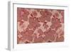 Pink Flowers on a Baise Background-null-Framed Giclee Print