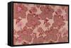 Pink Flowers on a Baise Background-null-Framed Stretched Canvas