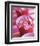 Pink Flowers-Amelie Vuillon-Framed Art Print