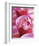 Pink Flowers-Amelie Vuillon-Framed Art Print