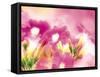 Pink Flowers-null-Framed Stretched Canvas