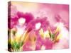 Pink Flowers-null-Stretched Canvas